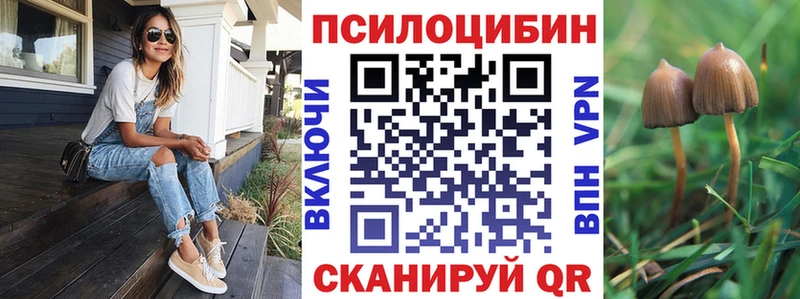 купить закладку  Покровск  MEGA сайт  Псилоцибиновые грибы MAGIC MUSHROOMS 